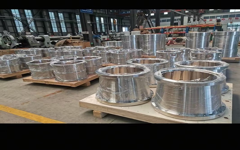 lNational Standard Training and Promotion Conference in the Flange Field Hed