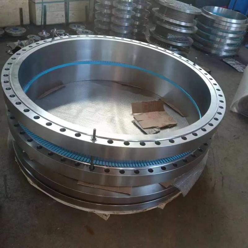 Dingxiang Jinyu Forging Supplies ASTM A182 F11, F22, F91 Alloy Steel Flanges for High-Temperature Pr